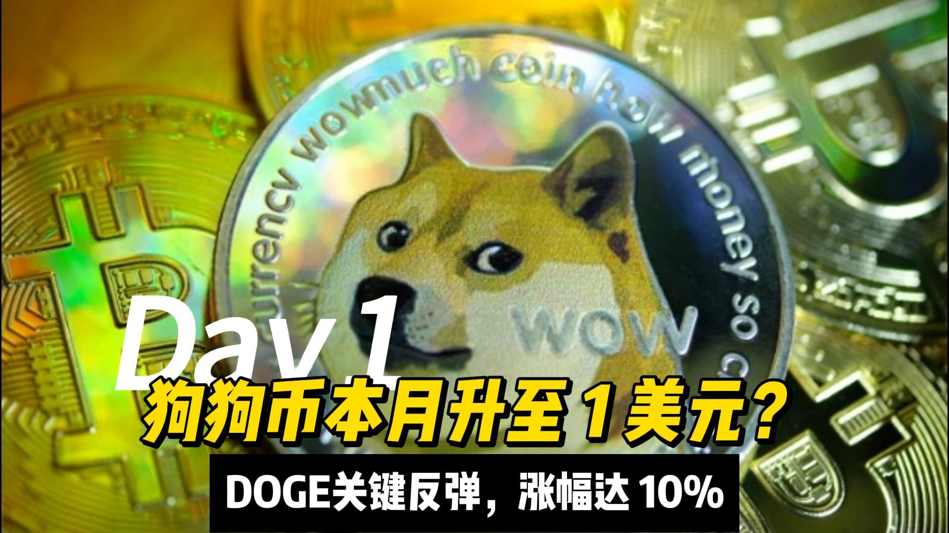九游娱乐APP-狗狗币空投即将开始，参与用户将获247枚代币